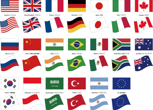 zestaw materiałów obrazu flagi g20 - saudi arabia argentina stock illustrations