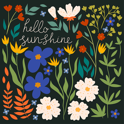 Floral card with the inscription hello sunshine. Vector image.
