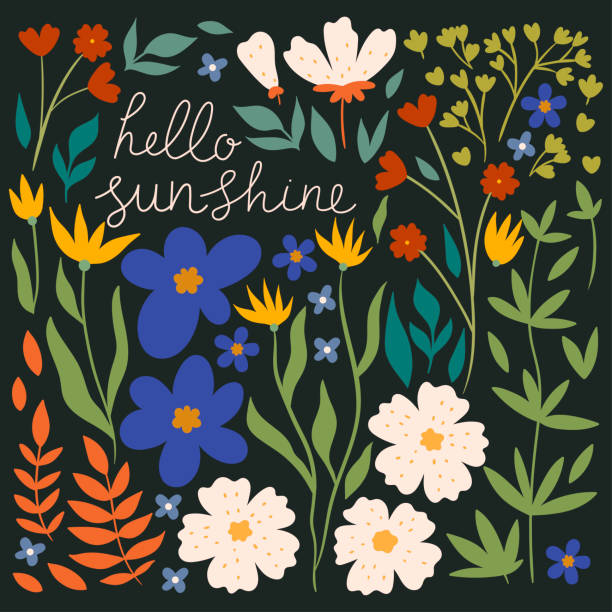 Floral card with the inscription hello sunshine. Vector graphics. Floral card with the inscription hello sunshine. Vector image. in bloom stock illustrations