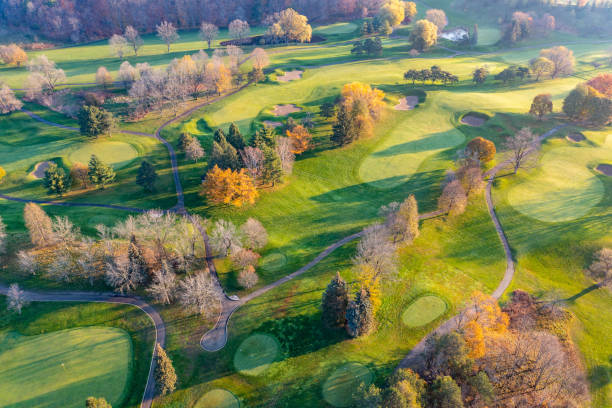 aerial view of residential distratic at rutherford road and islington ave., detached and duplex house, woodbridge, vaughan, canada - deciduous tree autumn canada house imagens e fotografias de stock