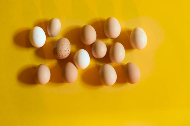 Egg diversity stock photo