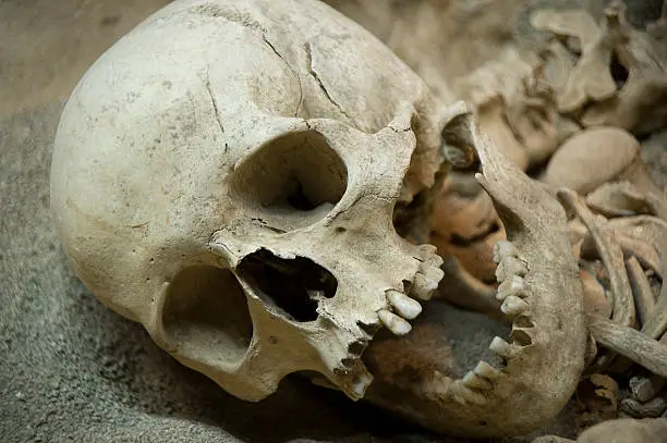 A Tomb with skeleton remains of Neanderthal human beings who had lived in the Mesolithic Period. Window display at  the Natural History And Prehistory Hall of the Archaeological museum in Antalya, Turkey.