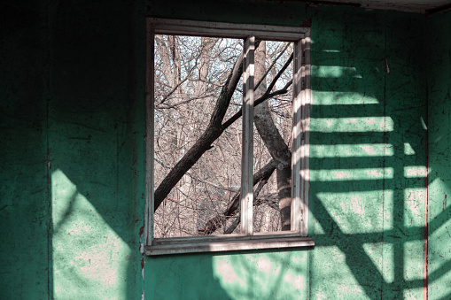 Interior of a desolated house . Green wall of abandoned barn . Shadow and light at the wall