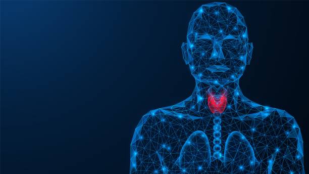 Acute inflammation of the thyroid gland. Acute inflammation of the thyroid gland. Low-poly design of interconnected lines and dots. Blue background. thyroid disease stock illustrations