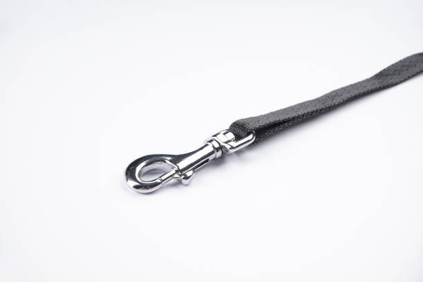 istock Dog leash with carabiner on a white background, close-up. 1354486913