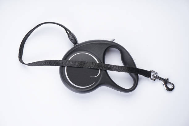 istock Retractable leash for dogs on a white background, top view. 1354486937