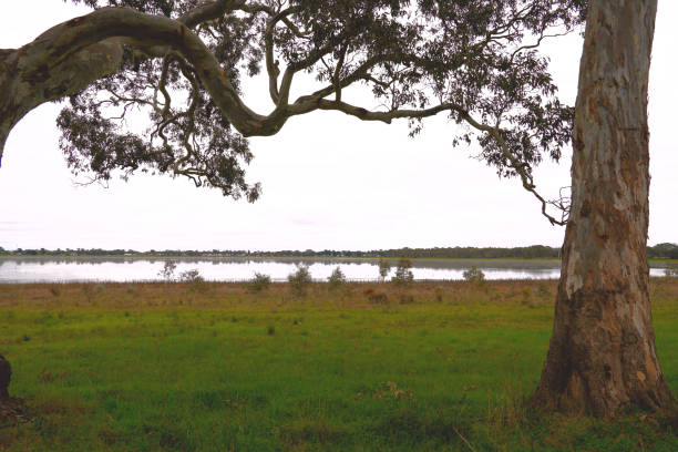 istock Edenhope,  Wimmera, Victoria, Australia 1354487617