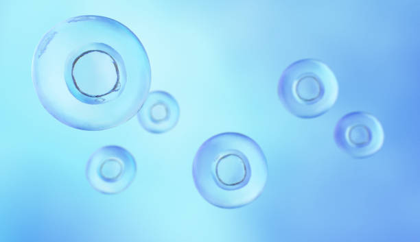 istock Embryonic stem cells , Cellular therapy , Regeneration, 3D rendering. 1354489003