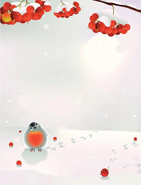 Vector illustration of Bullfinch on snow