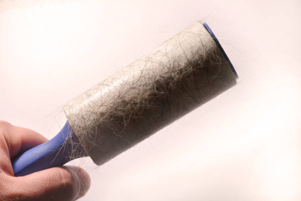 istock Lint roller for clothes with sticky hair and wool 1354494568
