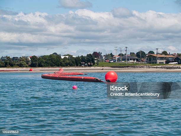Oil Spill Boom In Tauranga Harbour Stock Photo - Download Image Now - Beach, Environmental Damage, Harbor