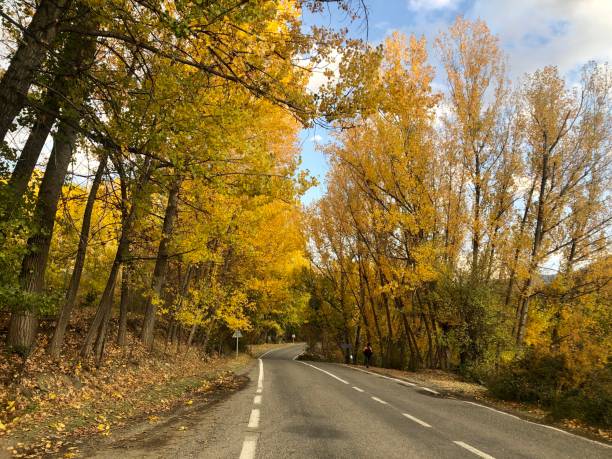 istock Road and autumun 1354500887