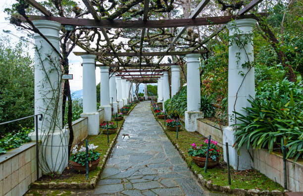 istock Anacapri, Italy 1354503871