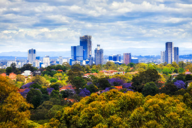 parram trees cbd tele - ryde imagens e fotografias de stock