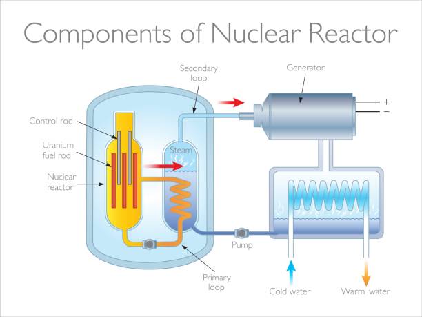 Components of Nuclear Reactor The energy released from the Uranium splitting heats the water. steam is then used to turn electricity generators, producing electricity.
Physics Illustration diagram of nuclear power plant stock illustrations