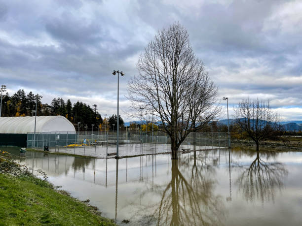 Delair Park, Abbotsford BC flooded Delair Park during the floods in British Columbia abbotsford canada stock pictures, royalty-free photos & images