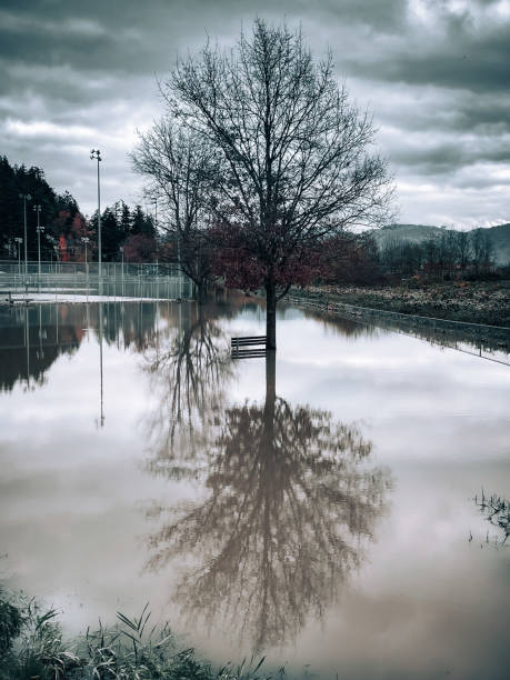 istock Delair Park, Abbotsford BC flooded 1354514995