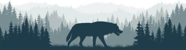 vektor berge wald wald hintergrund textur nahtloses muster mit wildem wolf - wolf stock-grafiken, -clipart, -cartoons und -symbole