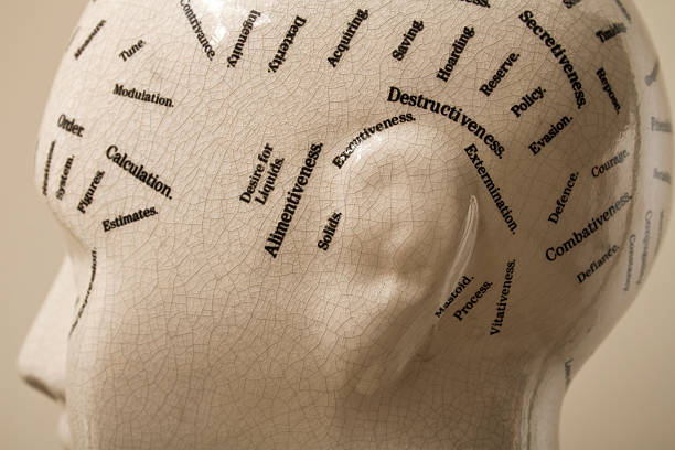 istock Phrenology head. mental health 135451825