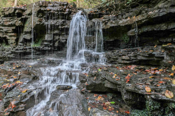istock Waterfall section with autumn leaves on rocks 1354521664