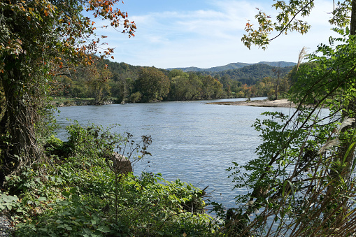 Scenery alongside the French Broad River near Hot Springs, NC.