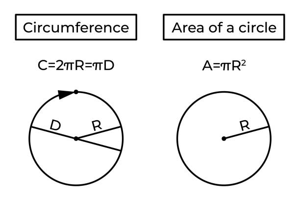 Circumference and area of a circle. Circumference, area of a circle and formula. Perimeter. Basic school geometry. Vector illustration isolated on white background. perimeter formula stock illustrations