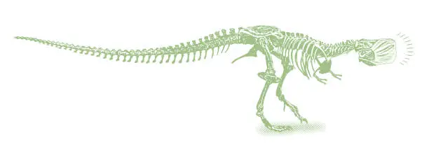 Vector illustration of Tyrannosaurus Rex wearing face mask