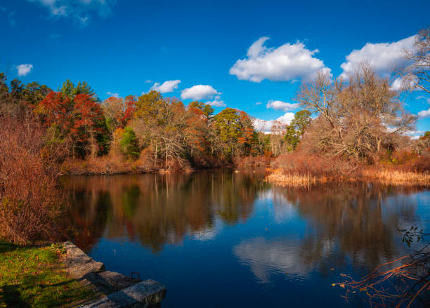 istock Autumn forest and water reflections on the pond. 1354525127