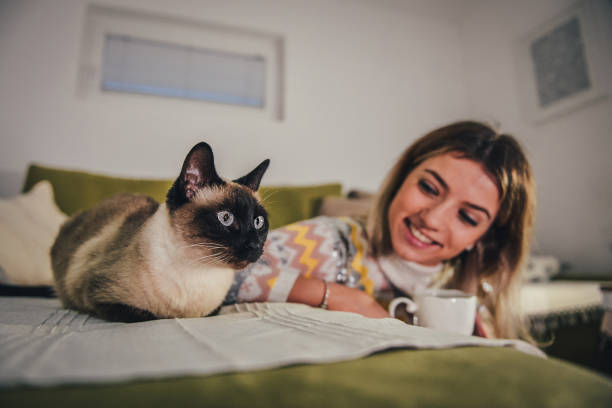 istock Beautiful girl and her Siamese cat 1354525846