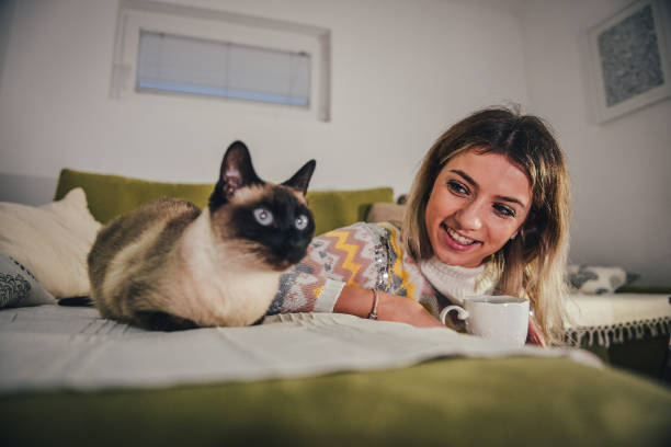 istock Beautiful girl and her Siamese cat 1354525864