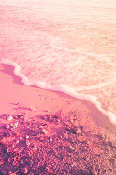 Brilliant pink tropical beach. Vertical.