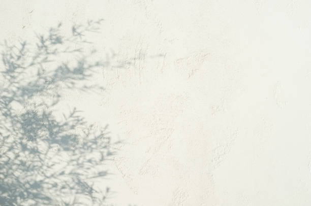 istock Shadow of leaves on a white wall 1354533765