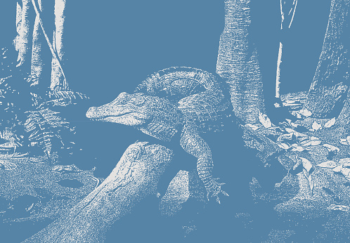 Vector illustration of an alligator resting on a log