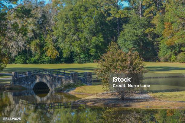 A Walking Bridge At Little Ocmulgee State Park In Mcrae Georgia Stock Photo - Download Image Now