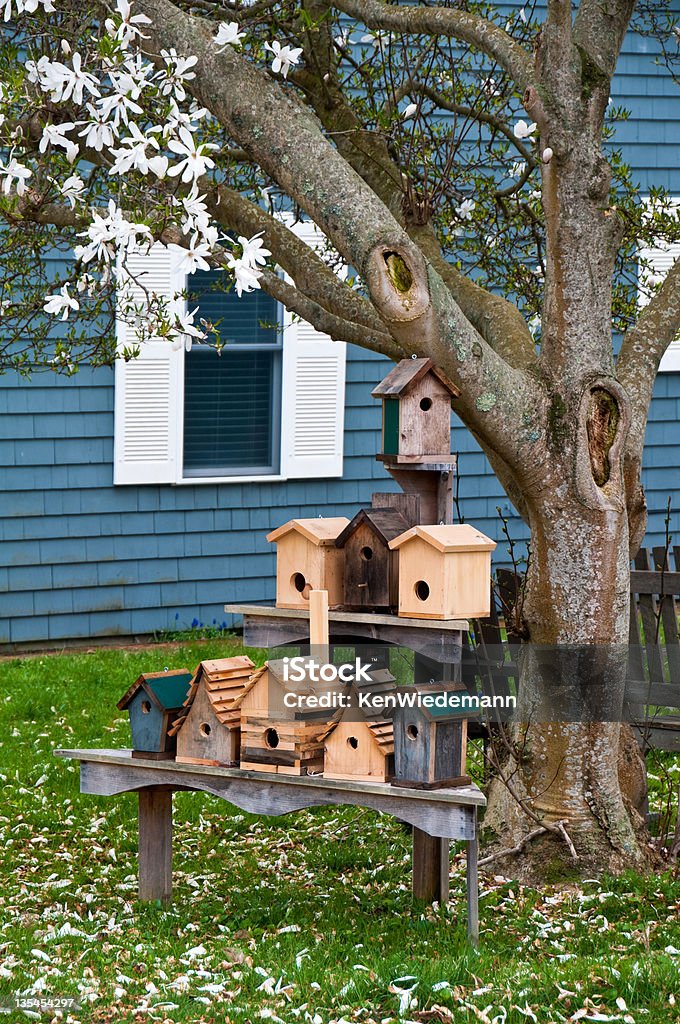 Residências para venda - Foto de stock de Cabeça da flor royalty-free