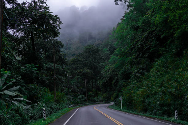 istock Car road natural way trees and fog 1354544638