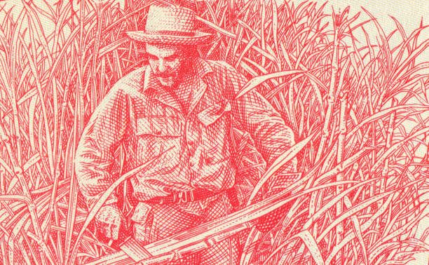 makro nahaufnahme der kubanischen banknote che guevara schneiden zuckerrohr muster design - cut sugar cane stock-fotos und bilder