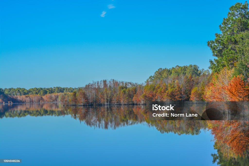 Mirror image of the beautiful colorful leaves on the trees, along the Little Ocmulgee River, McRae, Georgia Autumn Leaf Color Stock Photo