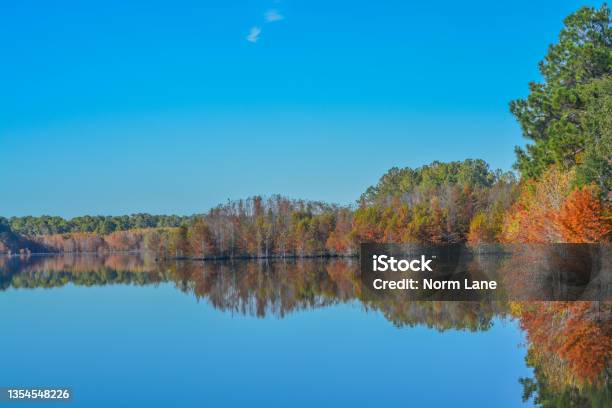 Mirror Image Of The Beautiful Colorful Leaves On The Trees Along The Little Ocmulgee River Mcrae Georgia Stock Photo - Download Image Now