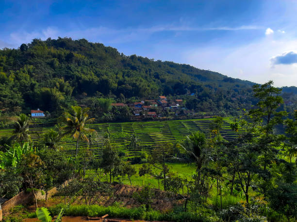 istock Mountains and Villages in Indonesia 1354548291