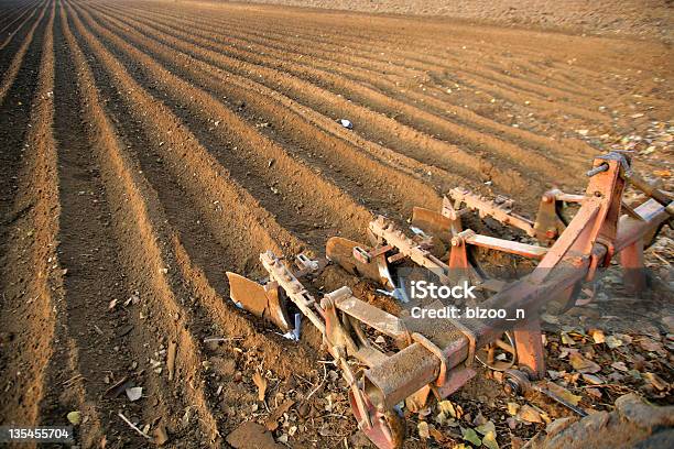 Rolnictwo - zdjęcia stockowe i więcej obrazów Bez ludzi - Bez ludzi, Fotografika, Horyzontalny