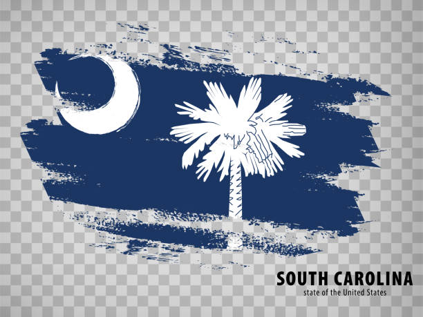 브러시 스트로크에서 사우스 캐롤라이나 국기. 미국.  웹 사이트 디자인, 앱, ui에 대한 투명한 배경에 제목으로 사우스 캐롤라이나 플래그를 지정합니다. 미국. 벡터 그림입니다. eps10. - south carolina flag interface icons symbol stock illustrations