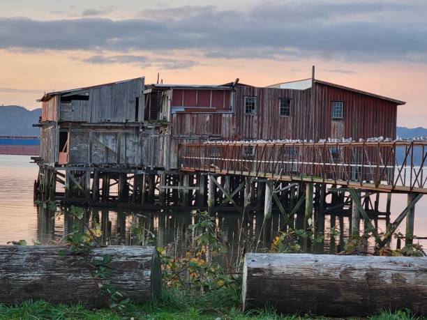 istock Sunset on the Columbia River Cannery 3 1354568621