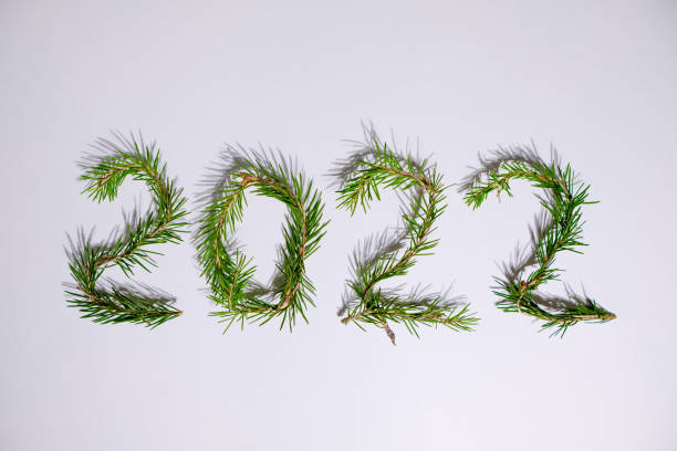 istock Lightbox with 2022 numbers handmade from Christmas tree branches 1354572237