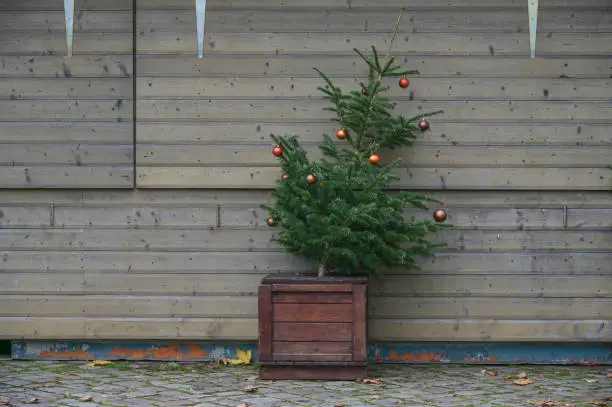 Slanted fir tree with remaining decoration stands abandoned in front of a closed booth at the Christmas market, cancelled event due to coronavirus pandemic, copy space, selected focus