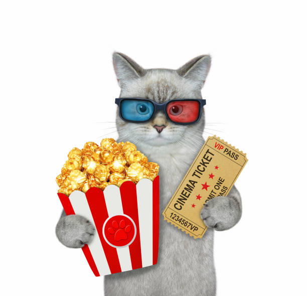 istock Cat ashen holds cinema ticket and popcorn 1354580530