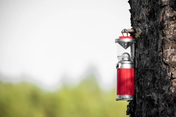 istock Matching lamp hangs on pine tree. Lighting for the night. Hiking equipment. 1354580551