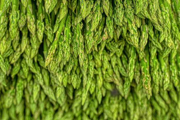 Full frame of An edible, raw stems of asparagus  Background Full frame of An edible, raw stems of asparagus  Background asparagus organic dinner close to stock pictures, royalty-free photos & images