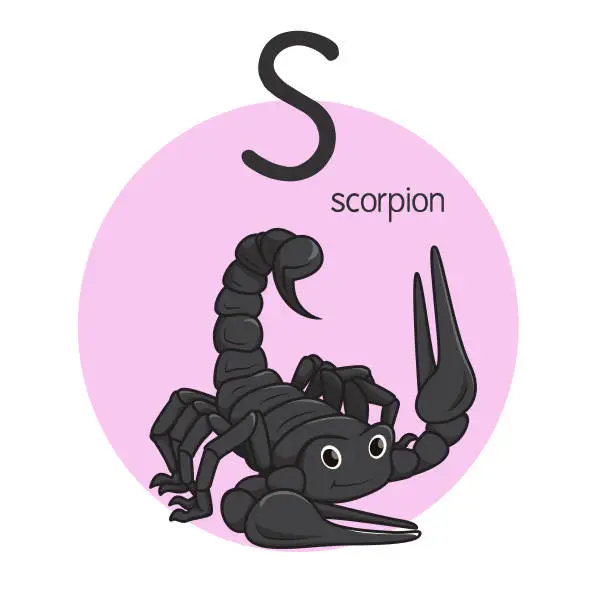 Vector illustration of Vector illustration of Scorpion with alphabet letter S Upper case or capital letter for children learning practice ABC