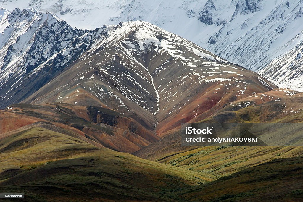 Catena montuosa dell'Alaska colori autunnali, Parco Nazionale di Denali - Foto stock royalty-free di Alaska - Stato USA